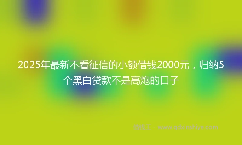 2025年最新不看征信的小额借钱2000元，归纳5个黑白贷款不是高炮的口子