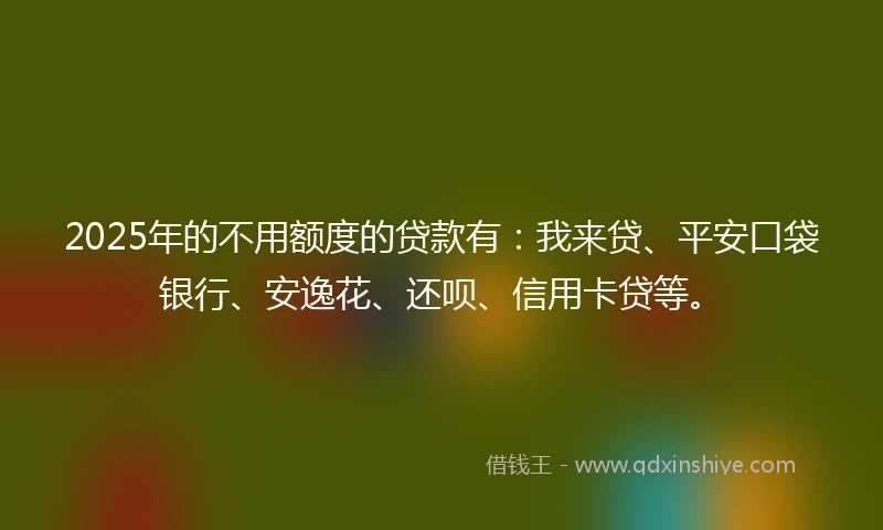 2025年的不用额度的贷款有：我来贷、平安口袋银行、安逸花、还呗、信用卡贷等。