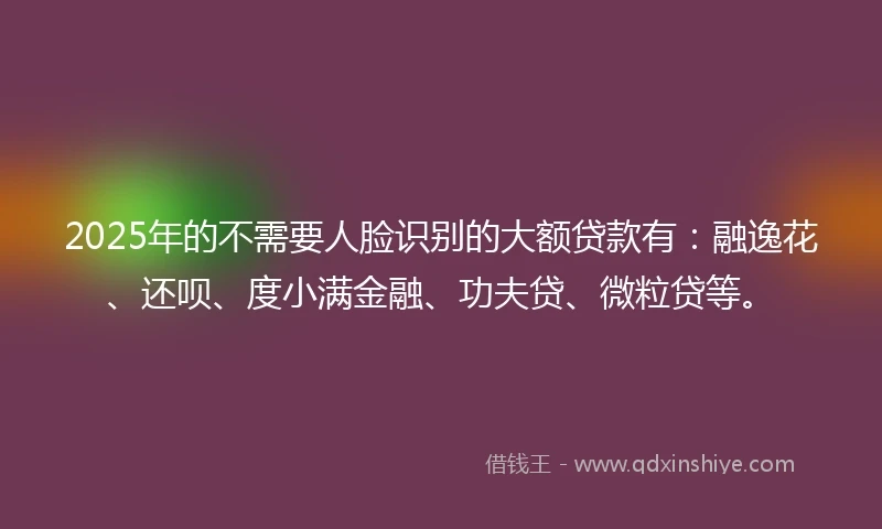 2025年的不需要人脸识别的大额贷款有：融逸花、还呗、度小满金融、功夫贷、微粒贷等。