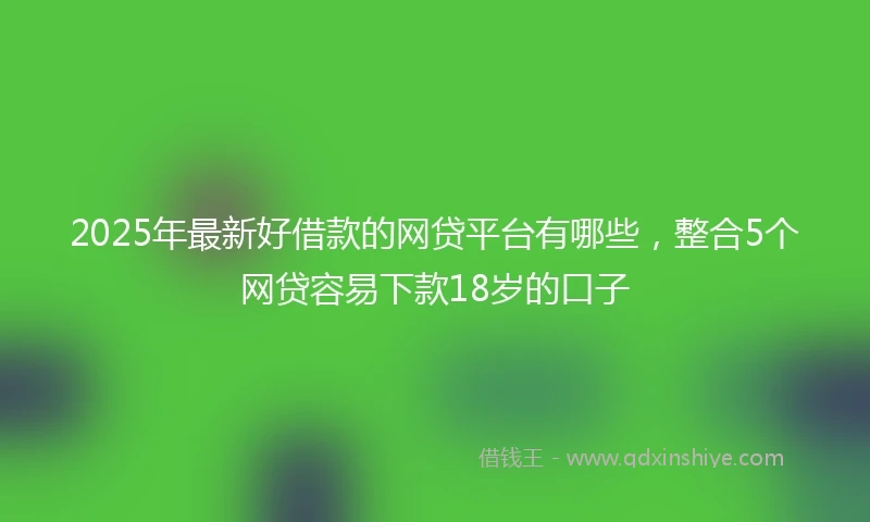 2025年最新好借款的网贷平台有哪些，整合5个网贷容易下款18岁的口子