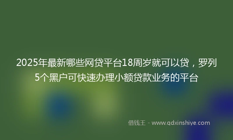 2025年最新哪些网贷平台18周岁就可以贷，罗列5个黑户可快速办理小额贷款业务的平台