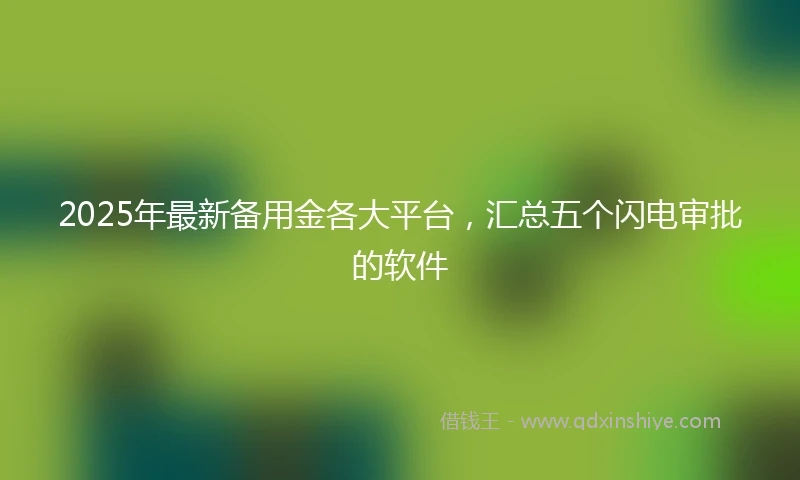 2025年最新备用金各大平台，汇总五个闪电审批的软件