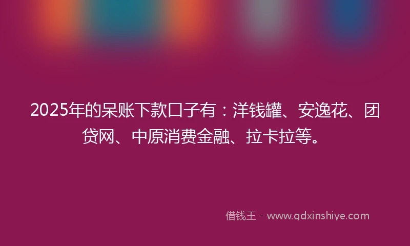 2025年的呆账下款口子有：洋钱罐、安逸花、团贷网、中原消费金融、拉卡拉等。