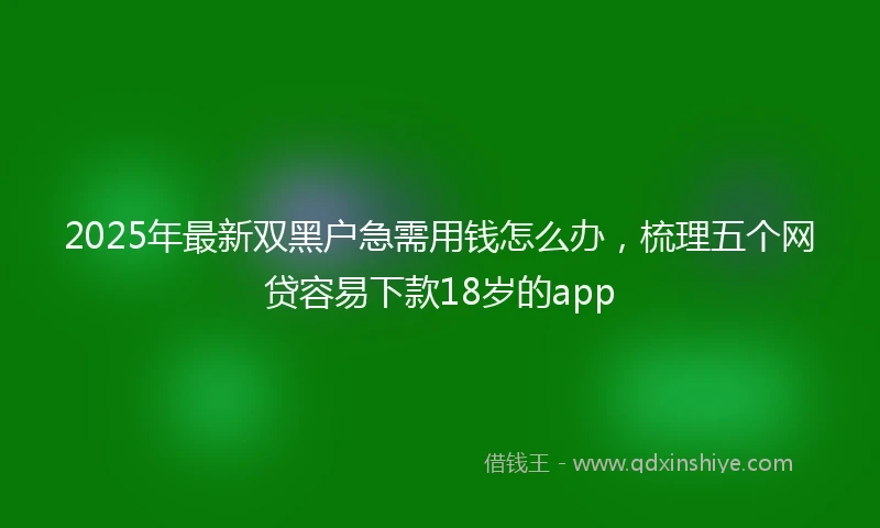 2025年最新双黑户急需用钱怎么办，梳理五个网贷容易下款18岁的app