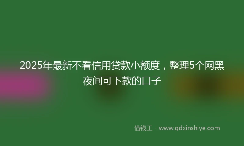 2025年最新不看信用贷款小额度，整理5个网黑夜间可下款的口子