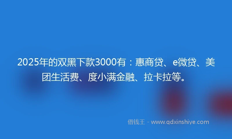 2025年的双黑下款3000有：惠商贷、e微贷、美团生活费、度小满金融、拉卡拉等。