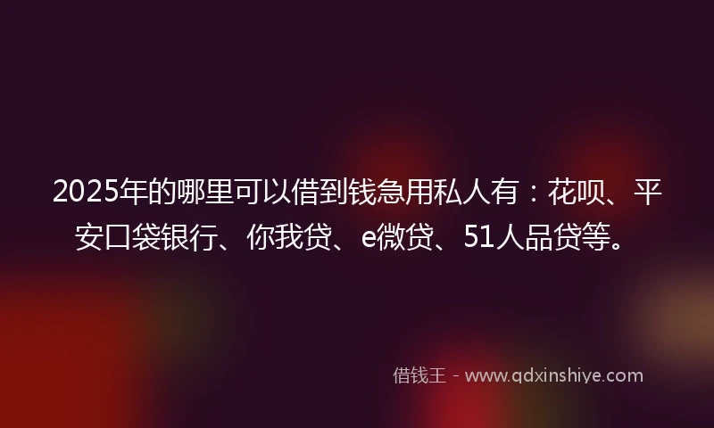 2025年的哪里可以借到钱急用私人有：花呗、平安口袋银行、你我贷、e微贷、51人品贷等。