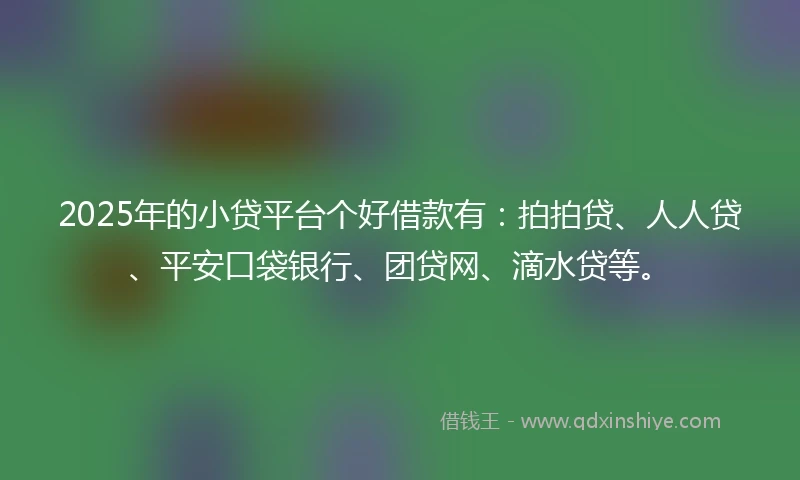 2025年的小贷平台个好借款有：拍拍贷、人人贷、平安口袋银行、团贷网、滴水贷等。