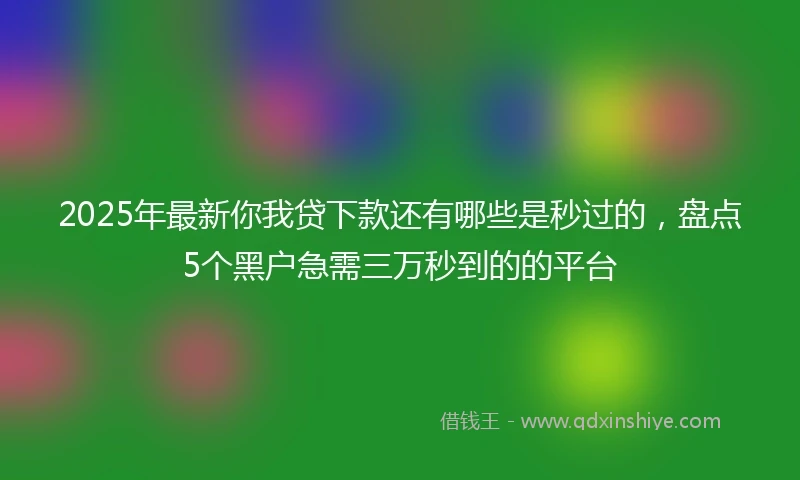 2025年最新你我贷下款还有哪些是秒过的，盘点5个黑户急需三万秒到的的平台