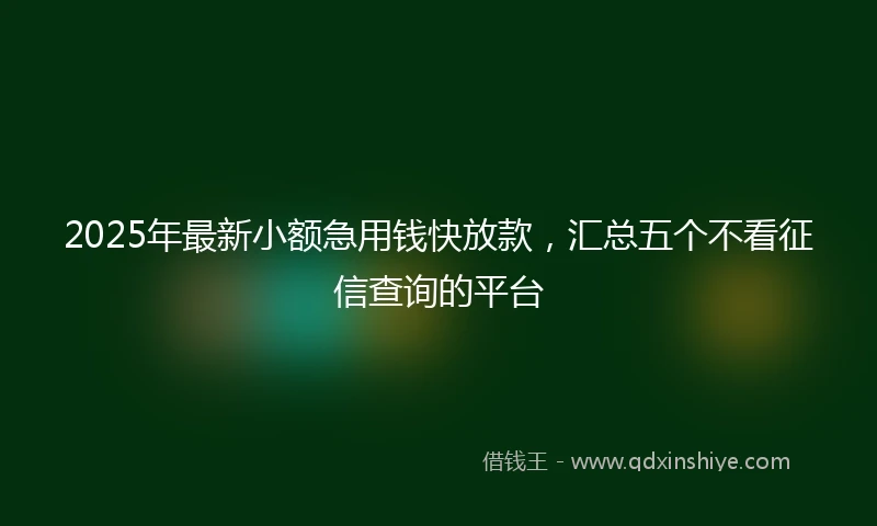 2025年最新小额急用钱快放款，汇总五个不看征信查询的平台