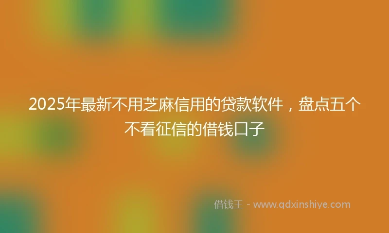 2025年最新不用芝麻信用的贷款软件，盘点五个不看征信的借钱口子
