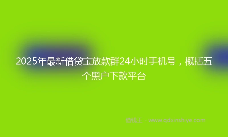 2025年最新借贷宝放款群24小时手机号，概括五个黑户下款平台
