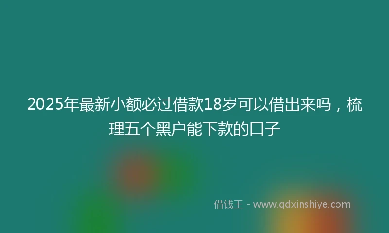 2025年最新小额必过借款18岁可以借出来吗，梳理五个黑户能下款的口子