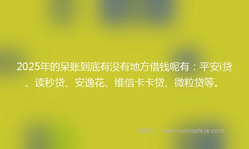 2025年的呆账到底有没有地方借钱呢有：平安i贷、读秒贷、安逸花、维信卡卡贷、微粒贷等。