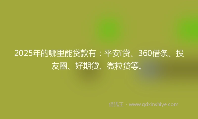 2025年的哪里能贷款有：平安i贷、360借条、投友圈、好期贷、微粒贷等。
