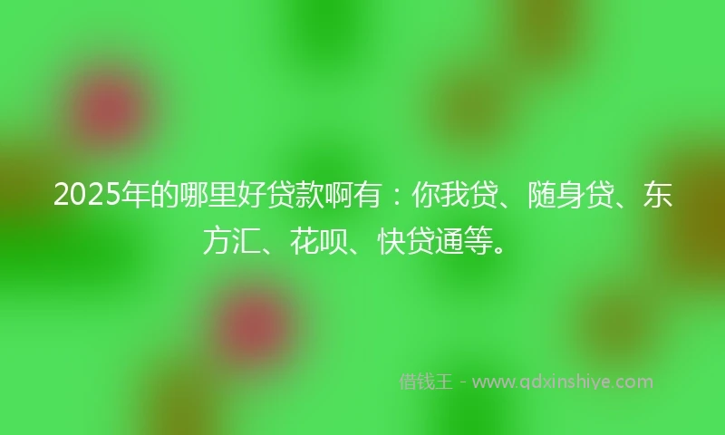 2025年的哪里好贷款啊有：你我贷、随身贷、东方汇、花呗、快贷通等。