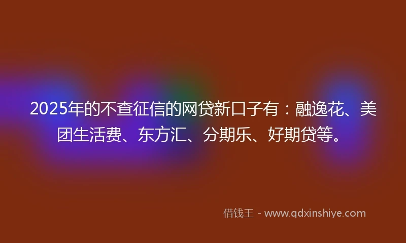 2025年的不查征信的网贷新口子有：融逸花、美团生活费、东方汇、分期乐、好期贷等。