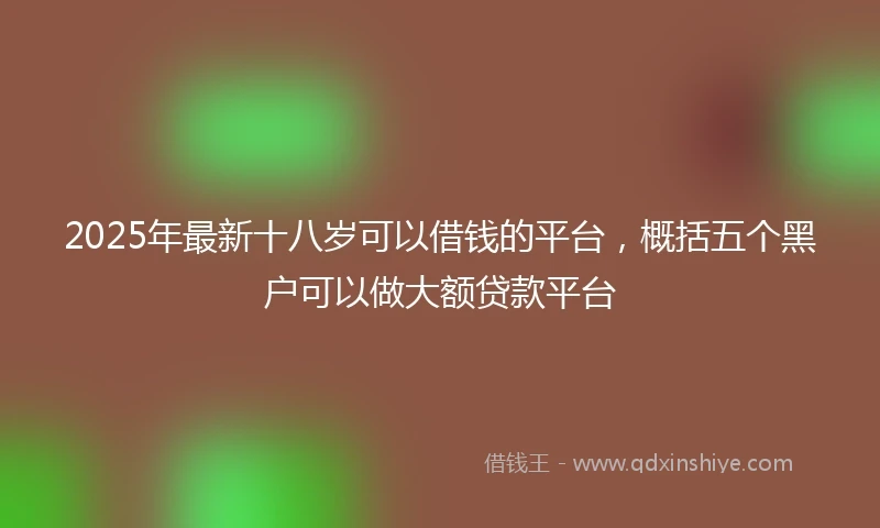 2025年最新十八岁可以借钱的平台，概括五个黑户可以做大额贷款平台