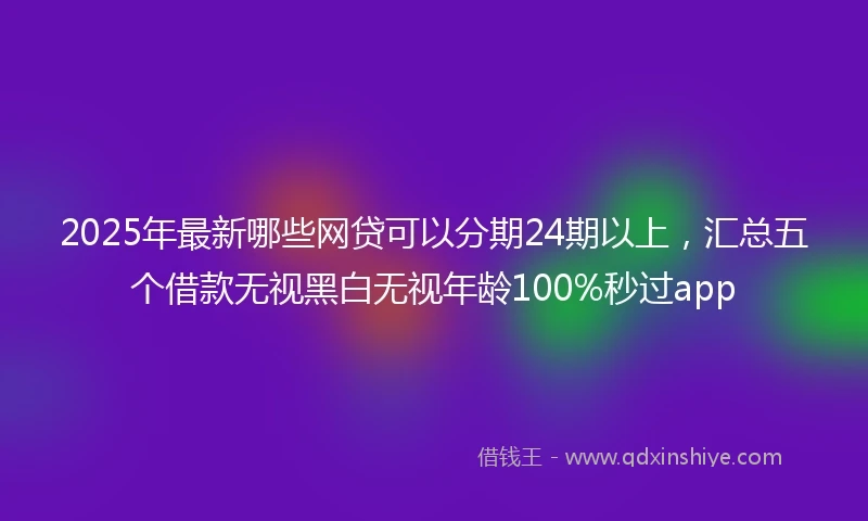 2025年最新哪些网贷可以分期24期以上，汇总五个借款无视黑白无视年龄100%秒过app