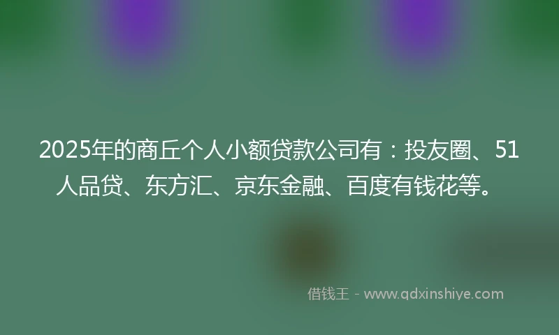 2025年的商丘个人小额贷款公司有：投友圈、51人品贷、东方汇、京东金融、百度有钱花等。