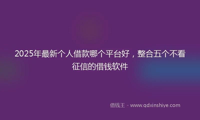 2025年最新个人借款哪个平台好，整合五个不看征信的借钱软件