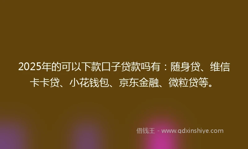 2025年的可以下款口子贷款吗有：随身贷、维信卡卡贷、小花钱包、京东金融、微粒贷等。