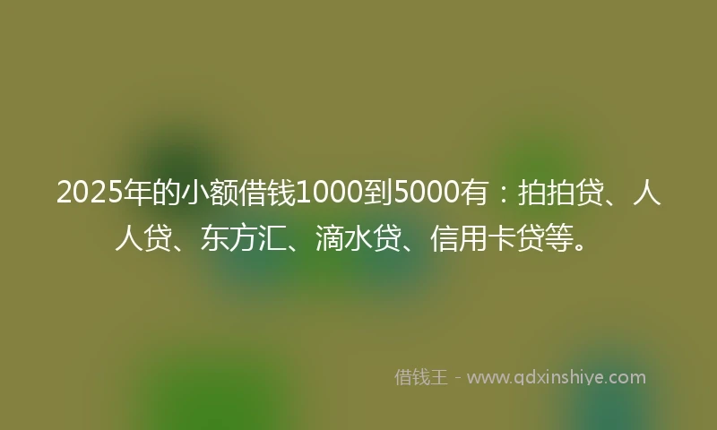 2025年的小额借钱1000到5000有：拍拍贷、人人贷、东方汇、滴水贷、信用卡贷等。
