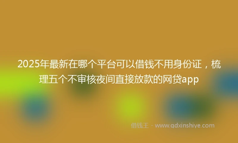 2025年最新在哪个平台可以借钱不用身份证，梳理五个不审核夜间直接放款的网贷app