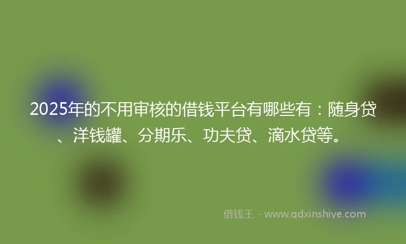 2025年的不用审核的借钱平台有哪些有：随身贷、洋钱罐、分期乐、功夫贷、滴水贷等。