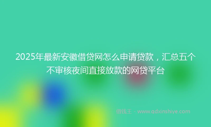 2025年最新安徽借贷网怎么申请贷款，汇总五个不审核夜间直接放款的网贷平台