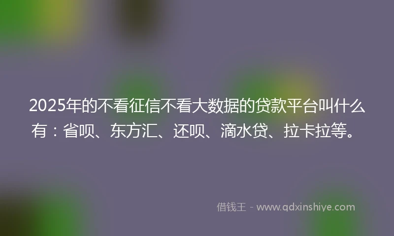 2025年的不看征信不看大数据的贷款平台叫什么有：省呗、东方汇、还呗、滴水贷、拉卡拉等。