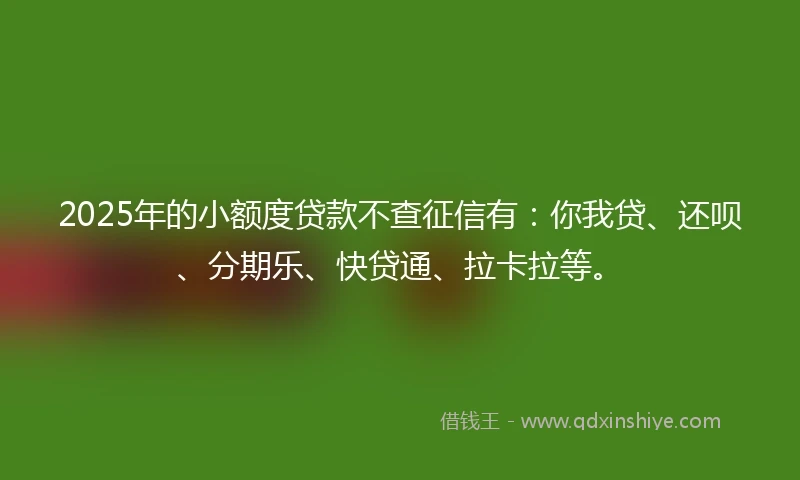 2025年的小额度贷款不查征信有：你我贷、还呗、分期乐、快贷通、拉卡拉等。