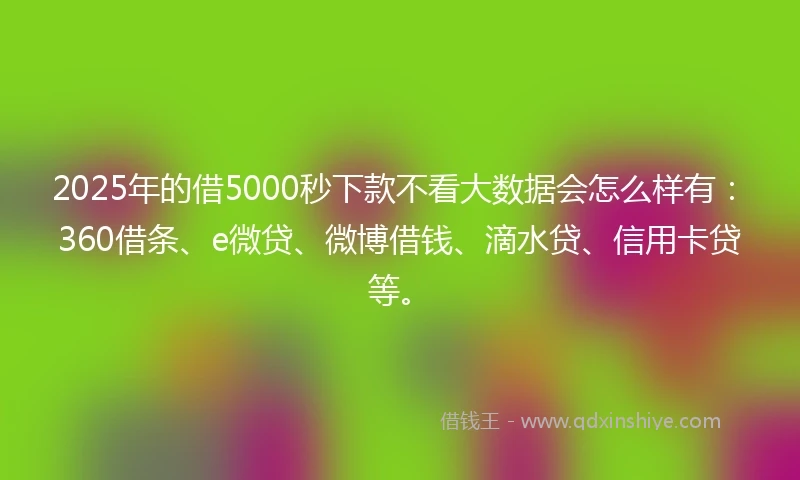 2025年的借5000秒下款不看大数据会怎么样有：360借条、e微贷、微博借钱、滴水贷、信用卡贷等。