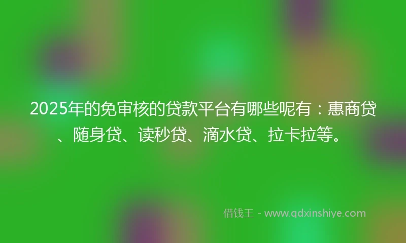 2025年的免审核的贷款平台有哪些呢有：惠商贷、随身贷、读秒贷、滴水贷、拉卡拉等。