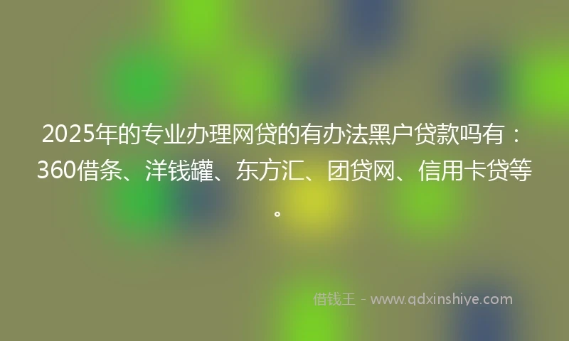 2025年的专业办理网贷的有办法黑户贷款吗有：360借条、洋钱罐、东方汇、团贷网、信用卡贷等。