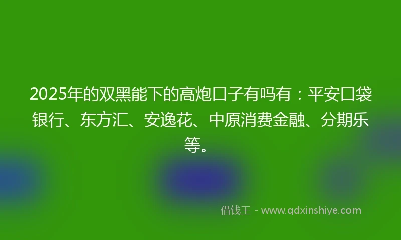 2025年的双黑能下的高炮口子有吗有：平安口袋银行、东方汇、安逸花、中原消费金融、分期乐等。