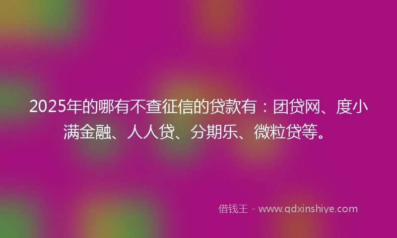2025年的哪有不查征信的贷款有：团贷网、度小满金融、人人贷、分期乐、微粒贷等。