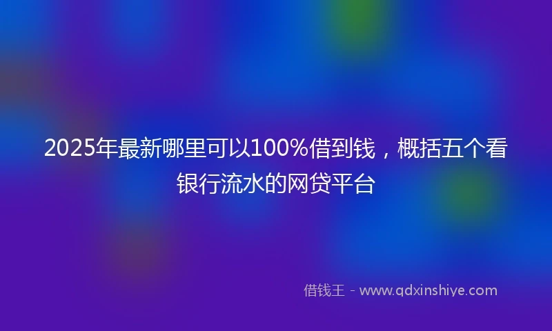 2025年最新哪里可以100%借到钱，概括五个看银行流水的网贷平台