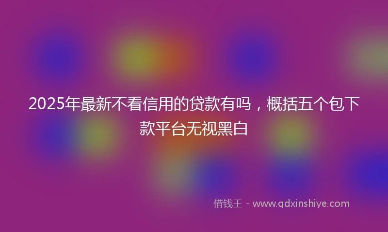 2025年最新不看信用的贷款有吗，概括五个包下款平台无视黑白
