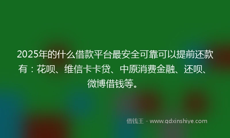 2025年的什么借款平台最安全可靠可以提前还款有：花呗、维信卡卡贷、中原消费金融、还呗、微博借钱等。