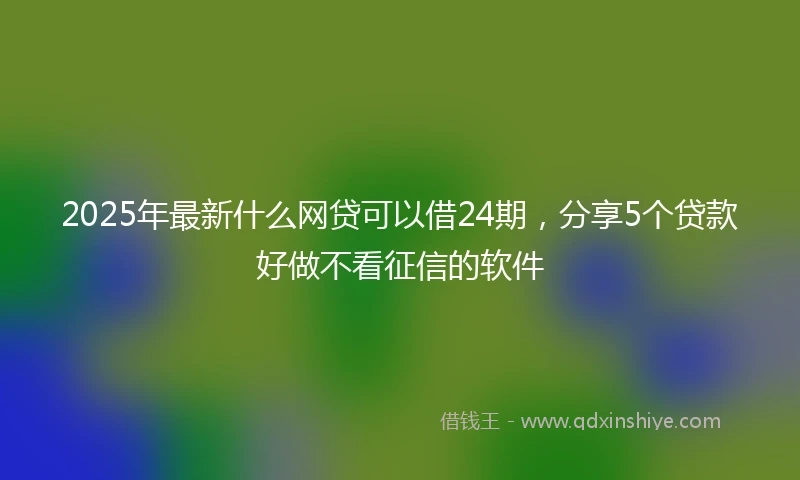 2025年最新什么网贷可以借24期，分享5个贷款好做不看征信的软件