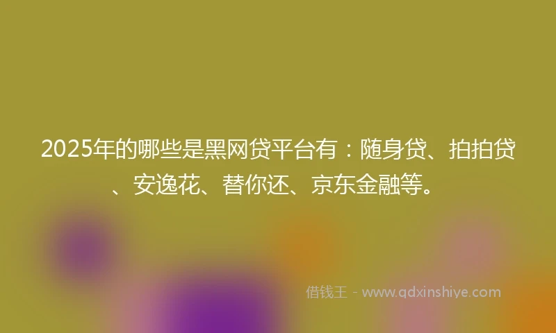 2025年的哪些是黑网贷平台有：随身贷、拍拍贷、安逸花、替你还、京东金融等。