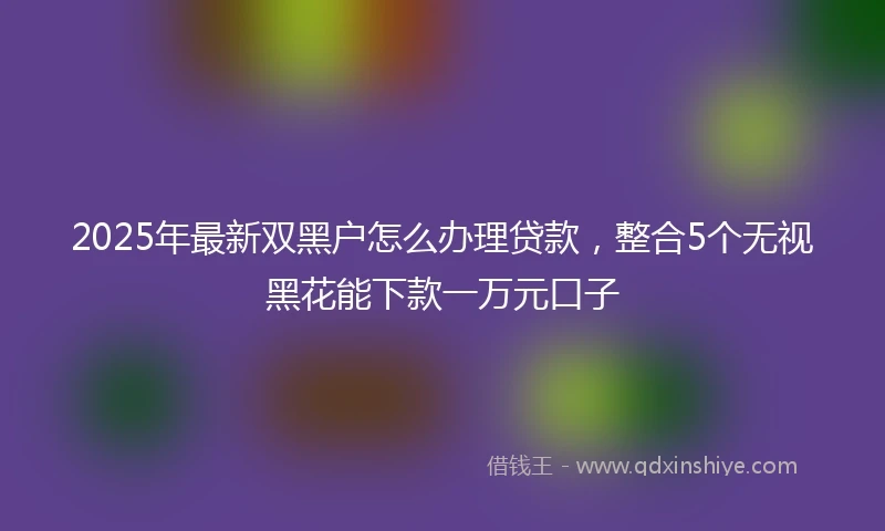 2025年最新双黑户怎么办理贷款，整合5个无视黑花能下款一万元口子