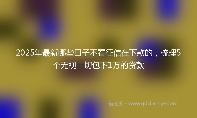 2025年最新哪些口子不看征信在下款的，梳理5个无视一切包下1万的贷款