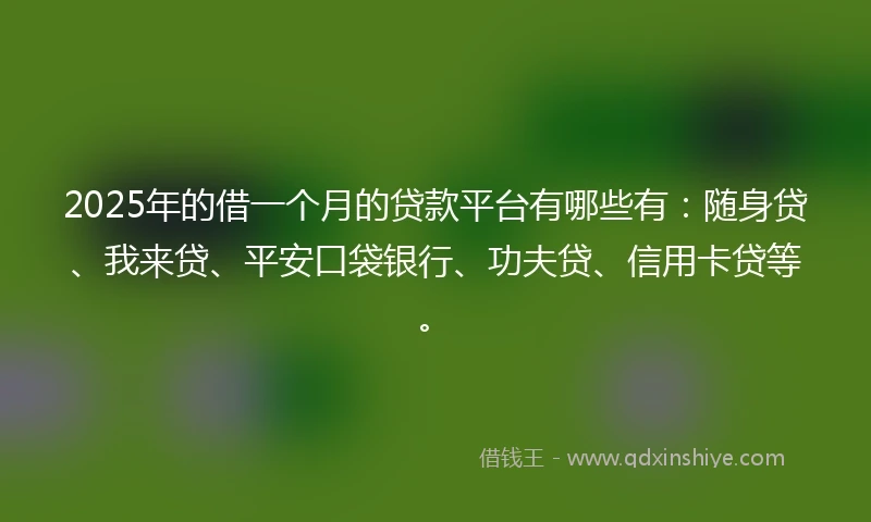 2025年的借一个月的贷款平台有哪些有：随身贷、我来贷、平安口袋银行、功夫贷、信用卡贷等。