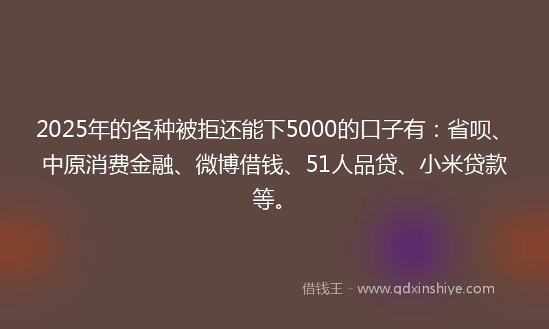 2025年的各种被拒还能下5000的口子有：省呗、中原消费金融、微博借钱、51人品贷、小米贷款等。