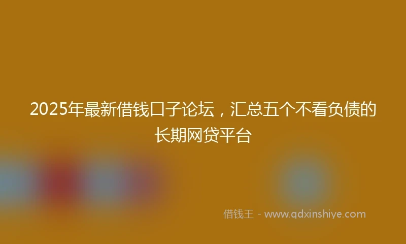 2025年最新借钱口子论坛，汇总五个不看负债的长期网贷平台