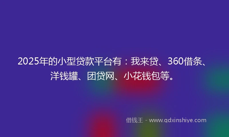 2025年的小型贷款平台有：我来贷、360借条、洋钱罐、团贷网、小花钱包等。