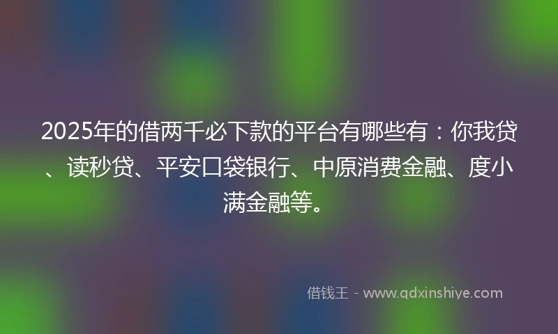 2025年的借两千必下款的平台有哪些有：你我贷、读秒贷、平安口袋银行、中原消费金融、度小满金融等。