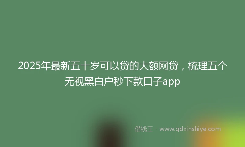2025年最新五十岁可以贷的大额网贷，梳理五个无视黑白户秒下款口子app